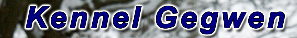 Kennel Gegwen